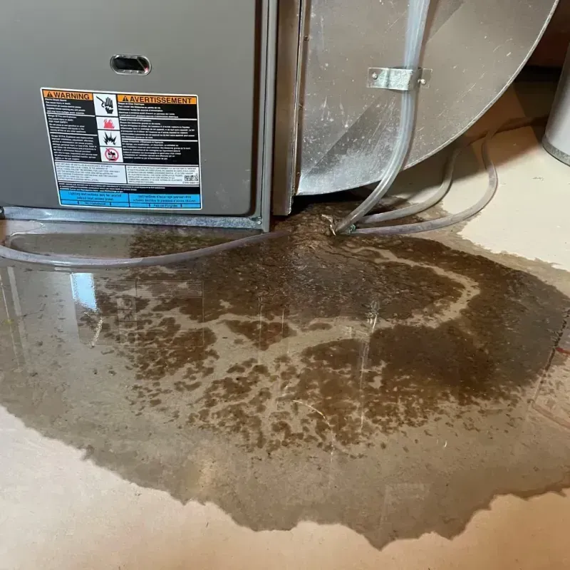 Appliance Leak Cleanup in Dulac, LA